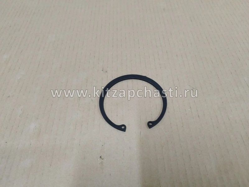 Пружинное кольцо  EXEED LХ FL 204000456AA