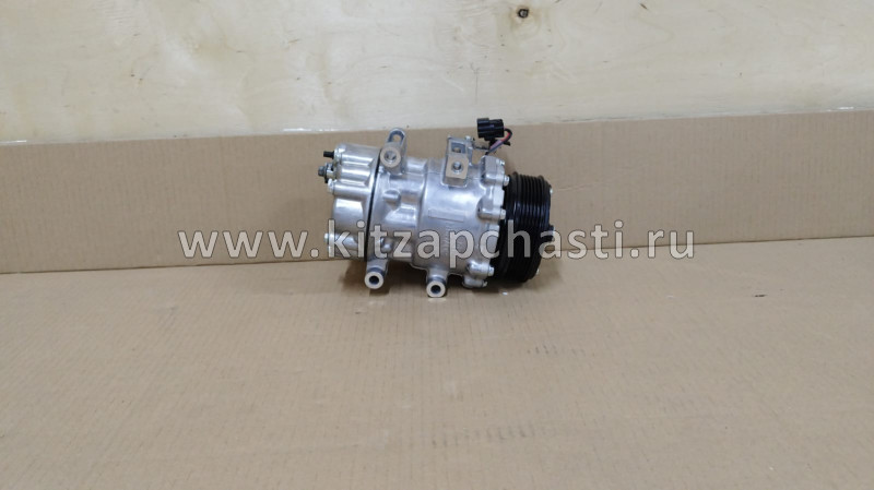 Компрессор кондиционера  EXEED VX 301000131AA